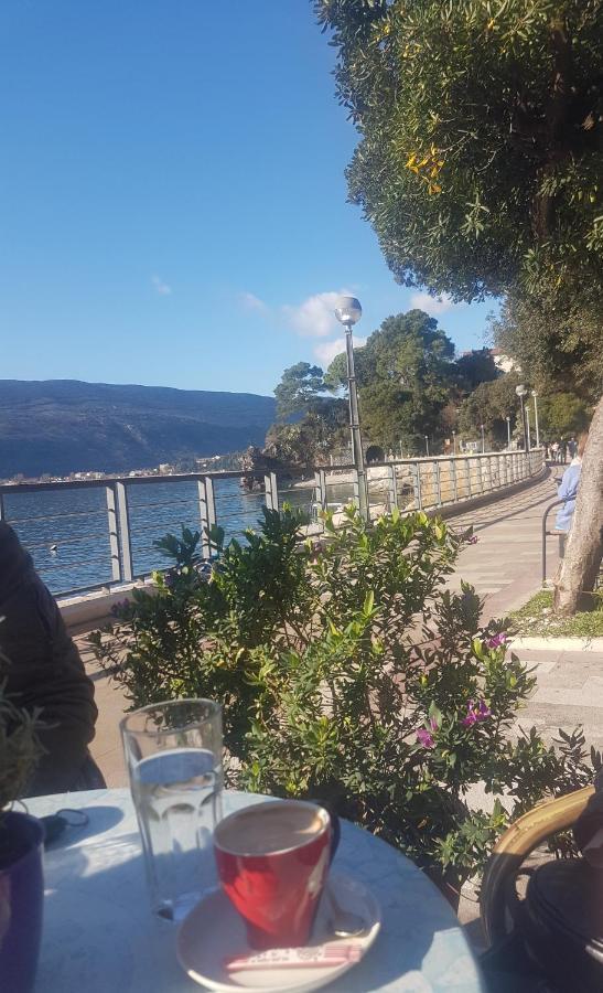 Apartment Dar & Mar Herceg Novi Buitenkant foto